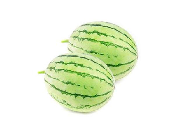 早春红玉(西瓜)-宏信龙生活馆-江都商城