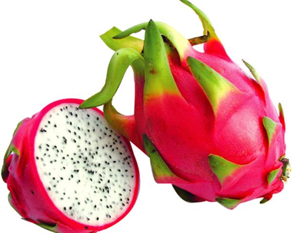 【亲果亲橙】越南红太阳火龙果-龙会易购-宏创