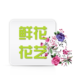 鲜花花艺